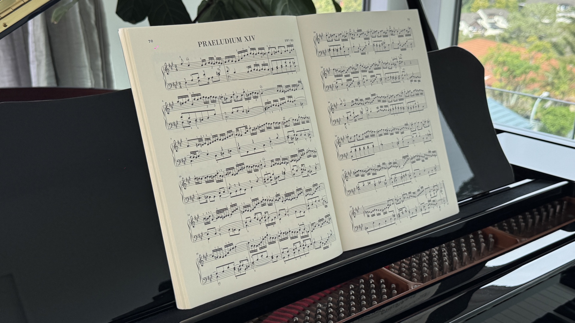 Advanced pianist at a grand piano representing the professional paths after Grade 8